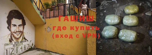 крисы Коряжма
