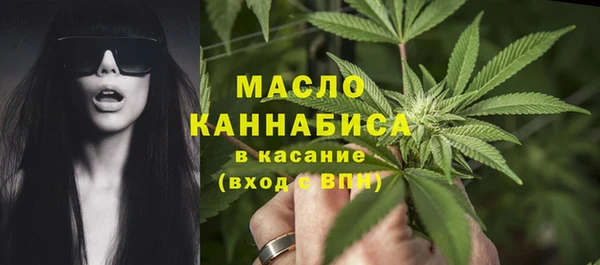 крисы Коряжма