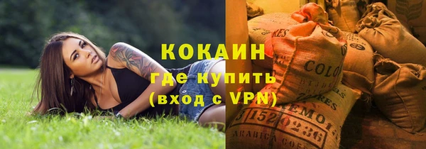 крисы Коряжма