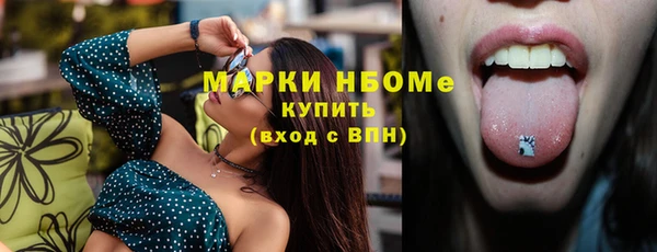 крисы Коряжма